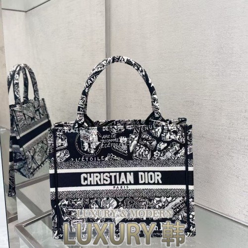 Dior Book Tote 스몰 백